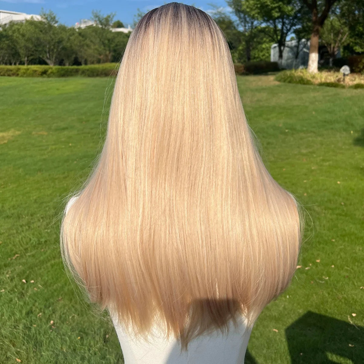 European and American style Women Wig