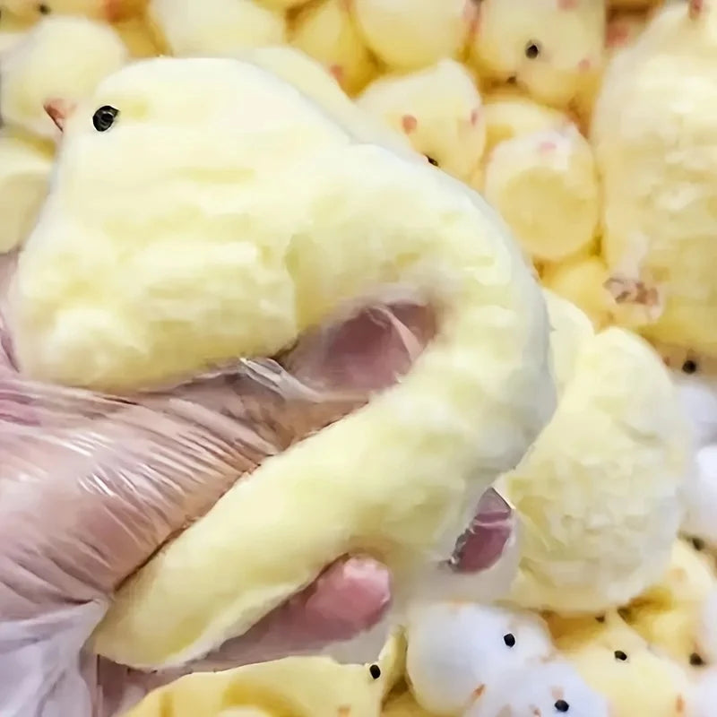 1Pc Yellow Chick Squishy Squeeze Toy