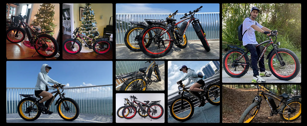 1500W Electric Bike