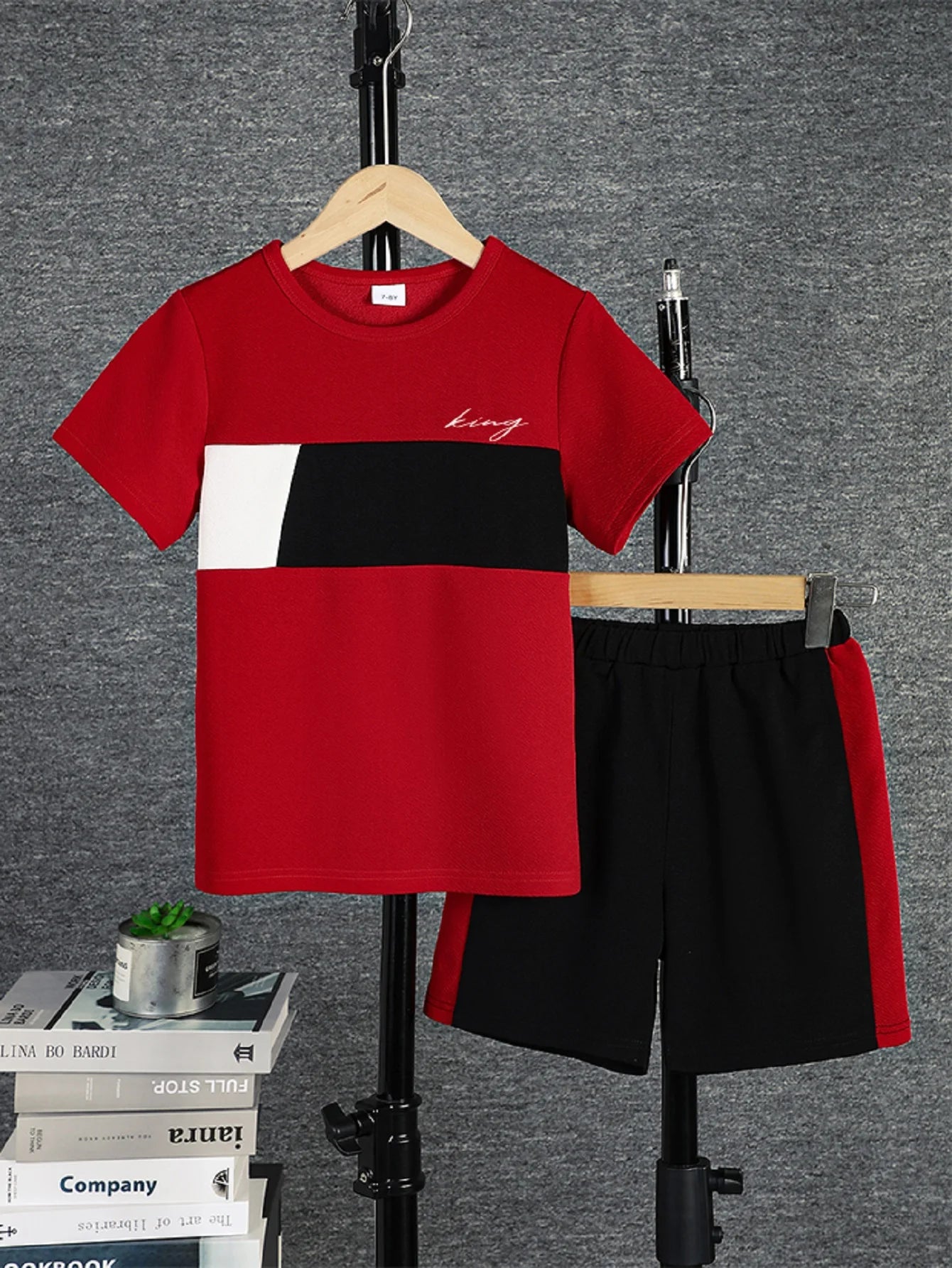 2pcs Boys Casual Colorblock Short Sleeve T-shirt & Shorts Set