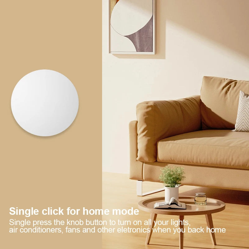 Alexa Goolge Home Voice Assitant