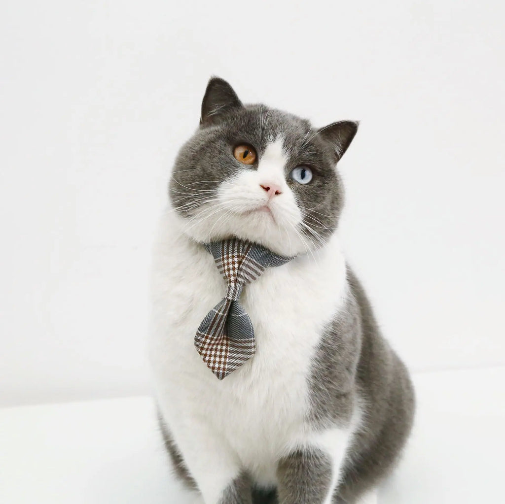 1pc Adjustable Plaid Cat Collar with Bow Tie