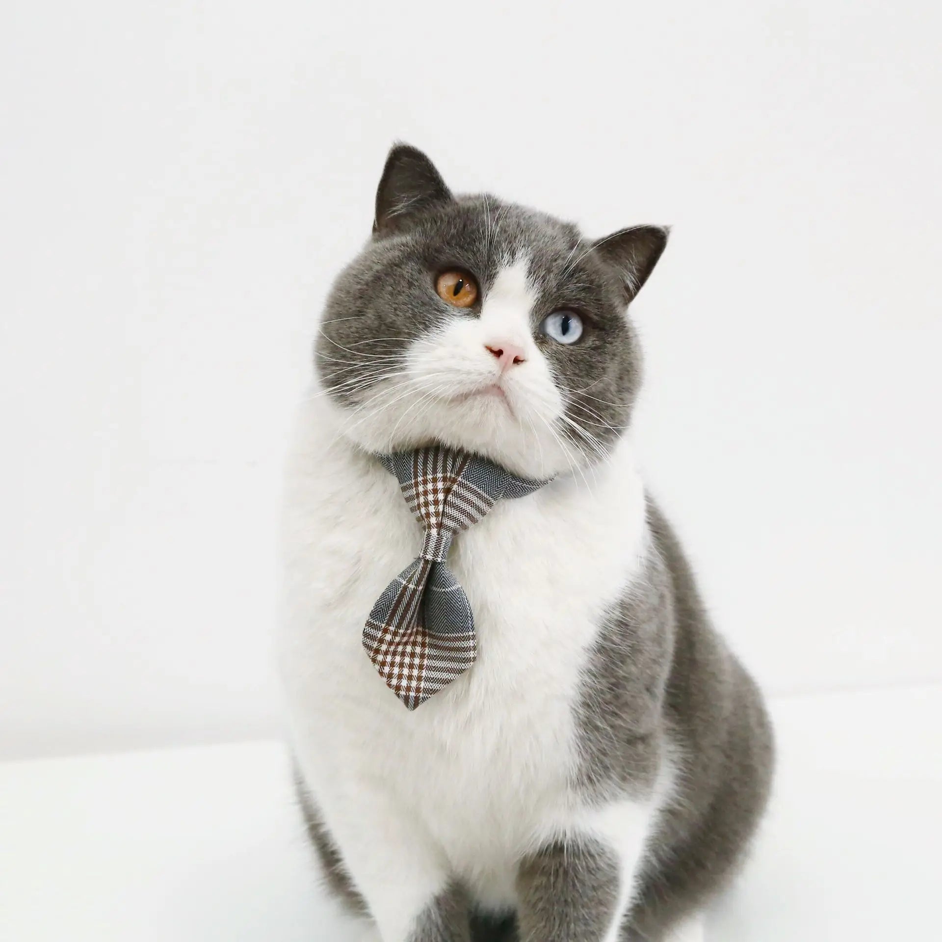 1pc Adjustable Plaid Cat Collar with Bow Tie