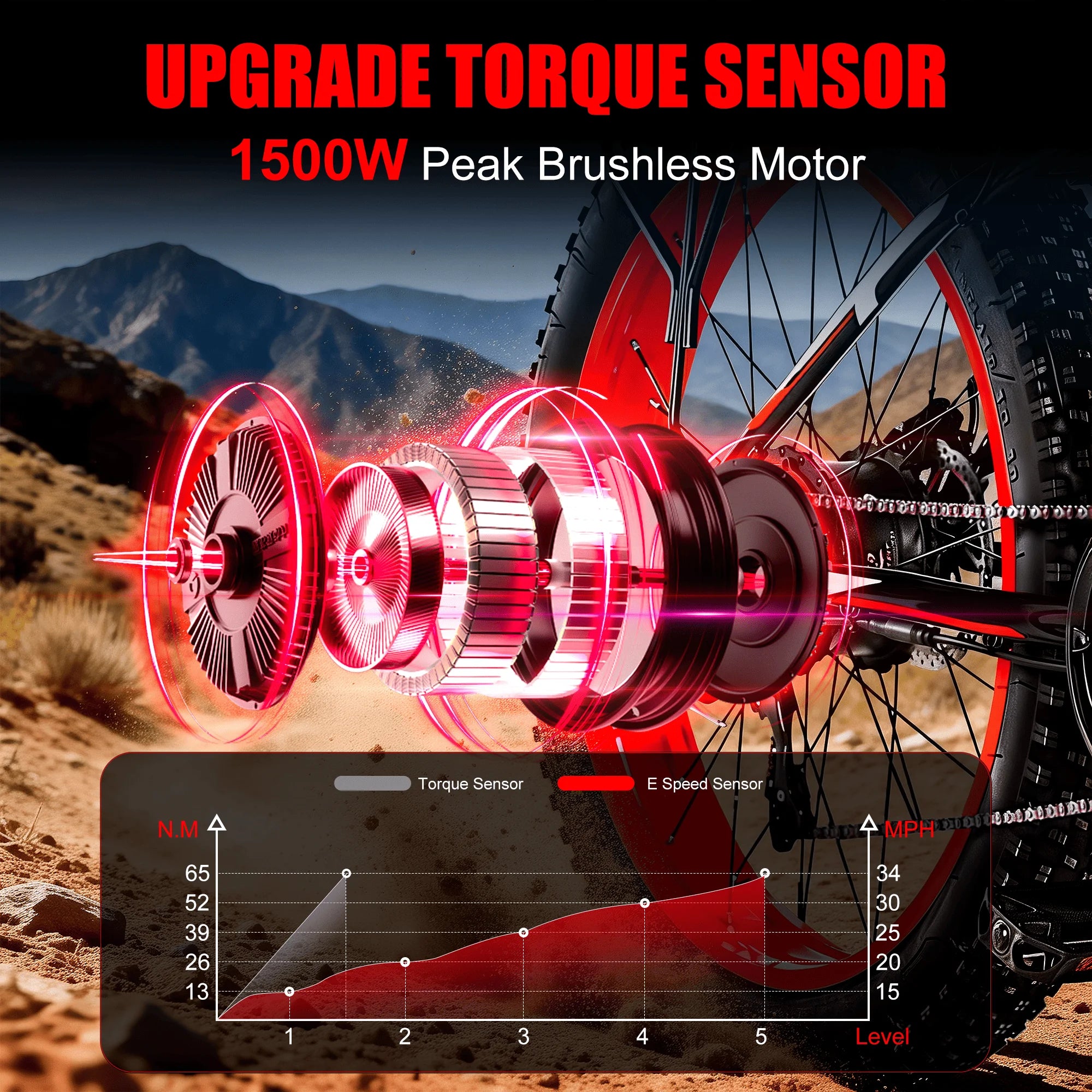 1500W Electric Bike