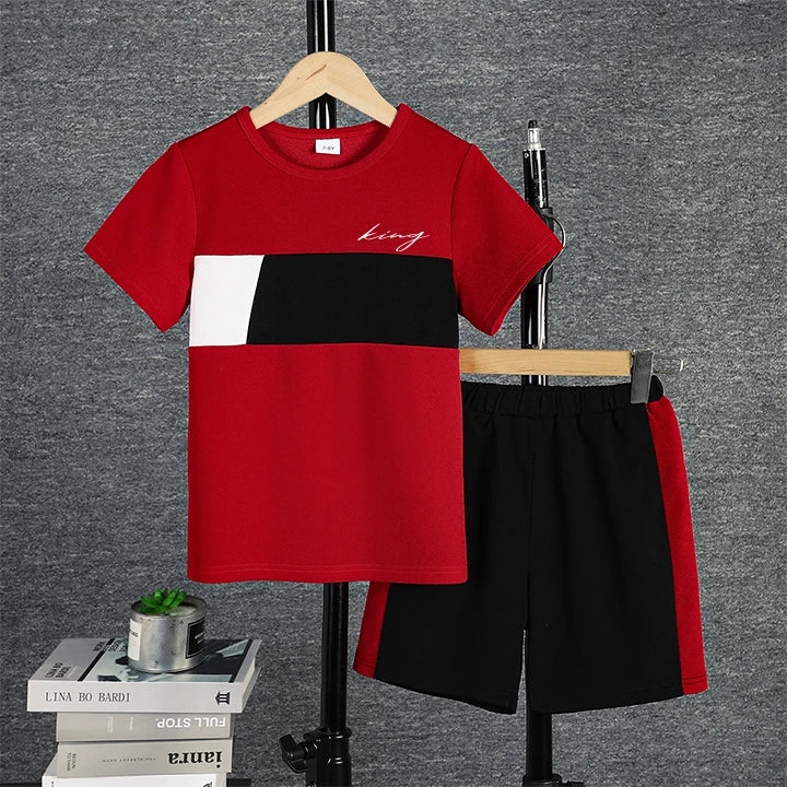 2pcs Boys Casual Colorblock Short Sleeve T-shirt & Shorts Set