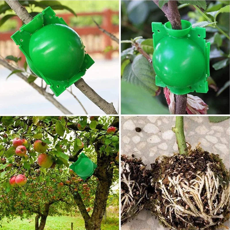 10Pcs Plant Rooting Equipment High Pressure Propagation Ball